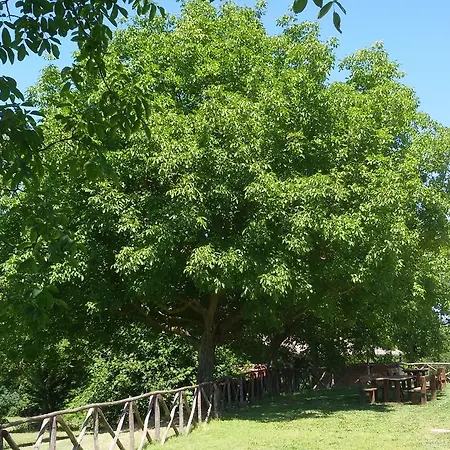 Casa Trastullo Apartmán Massa Martana