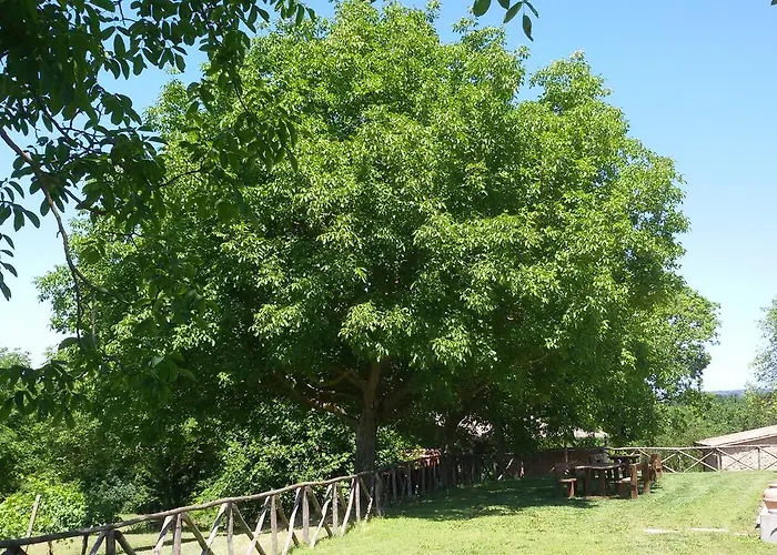 Casa Trastullo Apartment Massa Martana